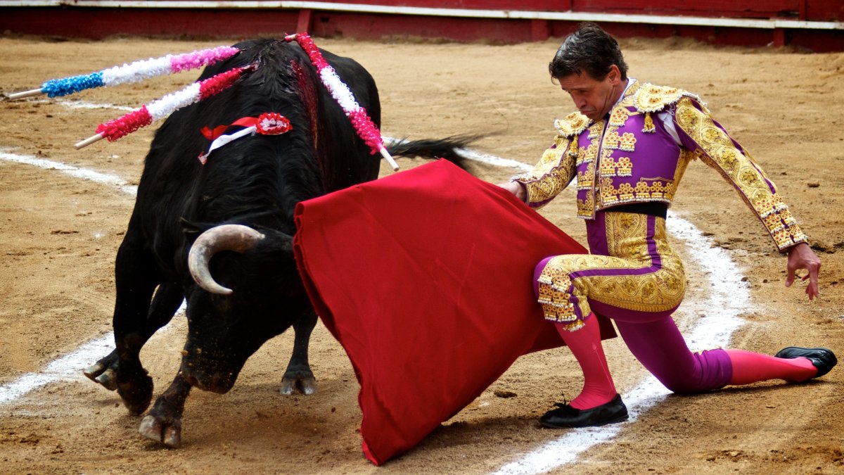 Toda la calidad de Guillermo Albán estará presente en México.