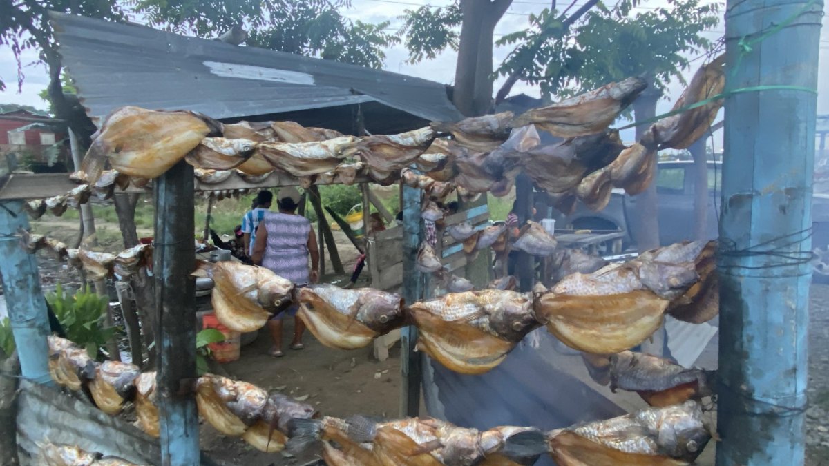 Los pescados de agua dulce esperan ser llevados a la ‘panza’.