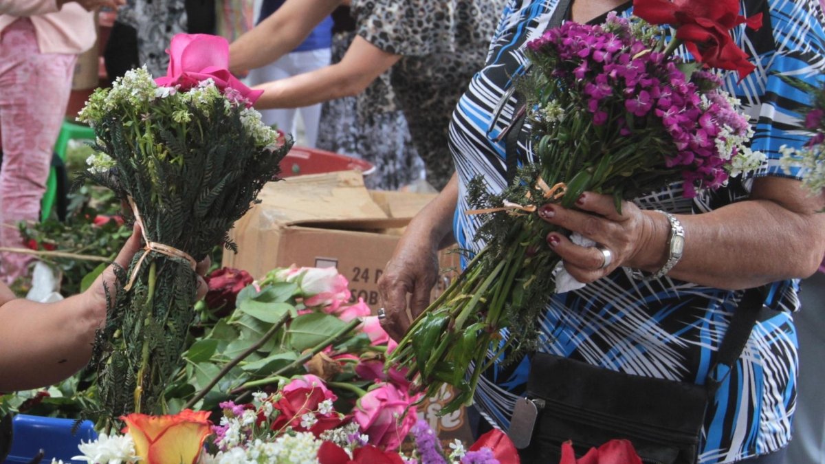 Un ramo lo venden en un dólar; cuando viene con maceta cuesta dos dólares. Una flor cuesta 0,50 centavos.