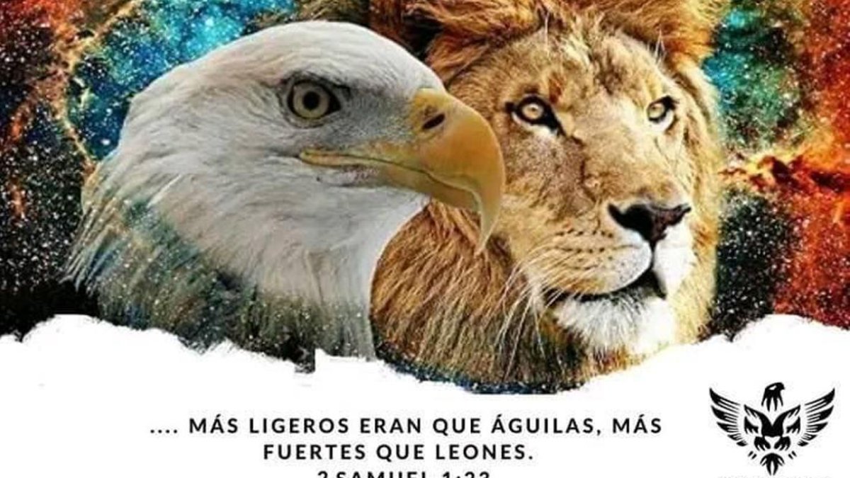 En un gráfico de Los Choneros se ve a los animales que los representan, los cuales están basados en 2 Samuel 1:23.