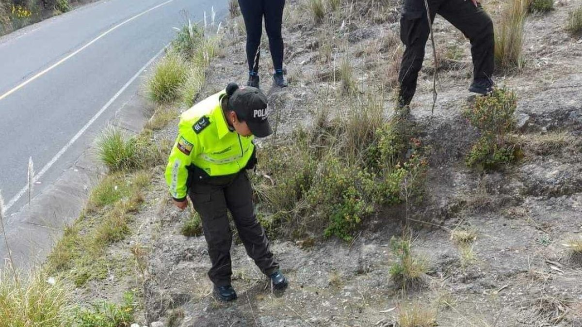 La parte humana habría sido desprendida del cuerpo por el animal.