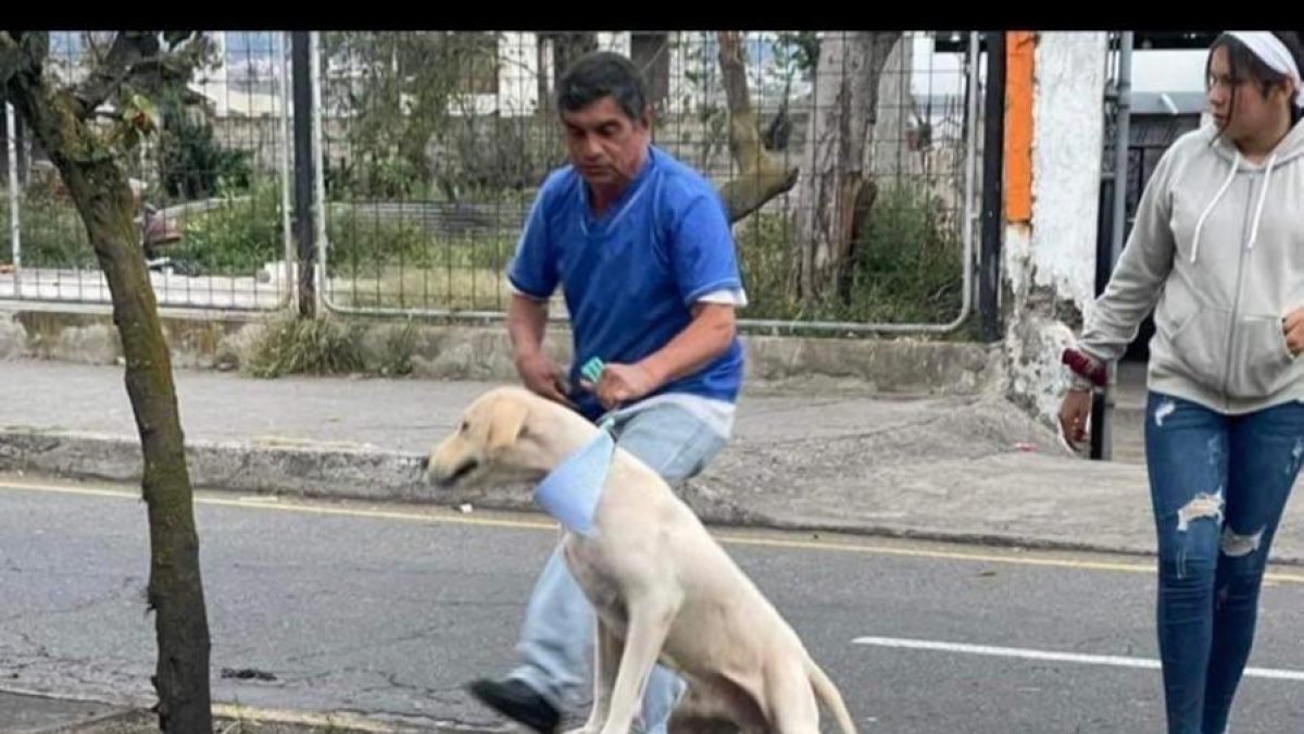 Odín fue localizado, pero ya no tendrá los mimos de su dueña.