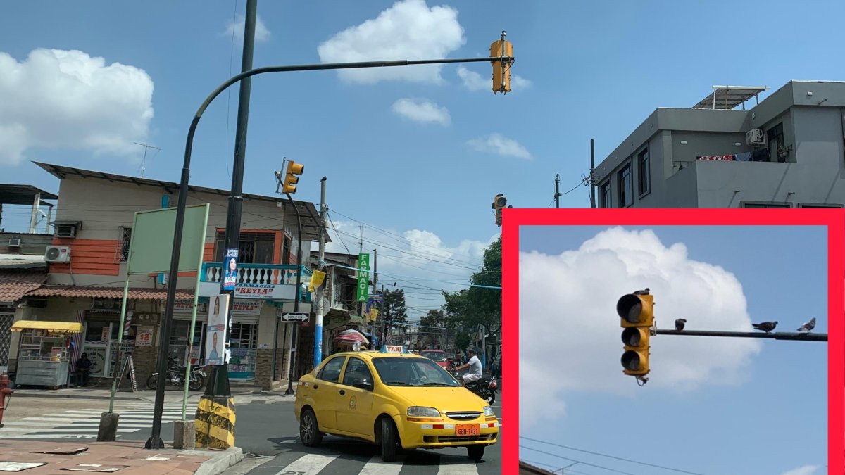 Los semáforos de las calles Lizardo García y la A, en Guayaquil, están sin funcionar, aparentemente, desde hace un mes.