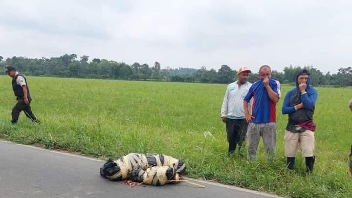 Por la pestilencia, unos moradores notaron la presencia de los restos.