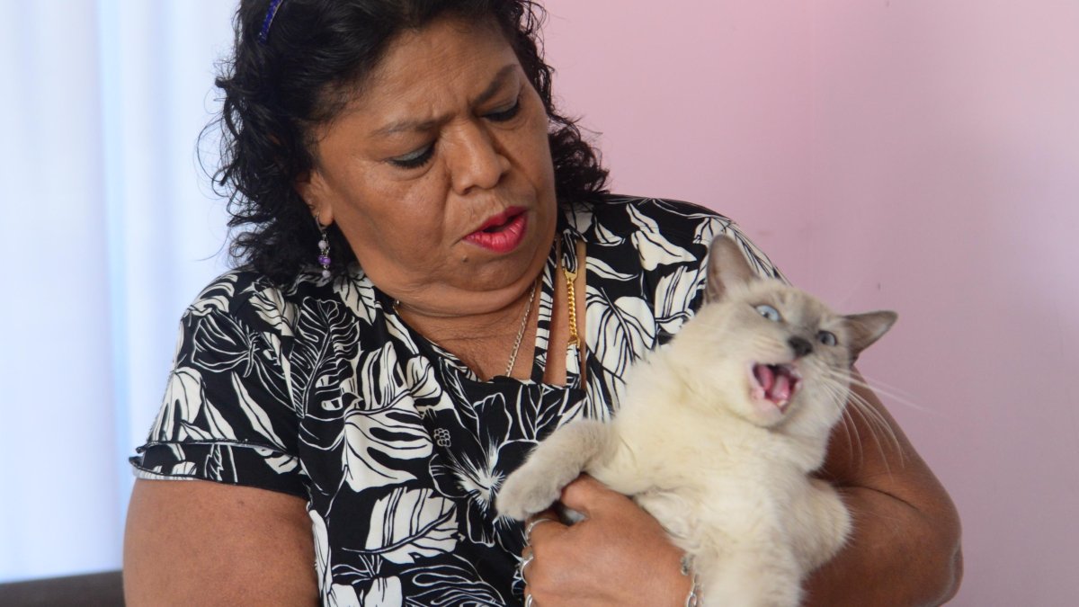 Hasta la gata Bellita ‘marchó’. Terminó ‘puteada’ porque no quiso colaborar en la sesión de fotos.