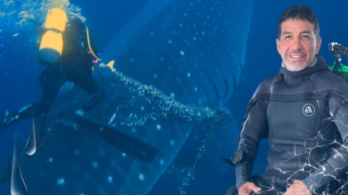 Peter Freire sobre el animal, cortando la malla y la cuerda que se habían enreado en su cuerpo y que podrían terminar matándolo.