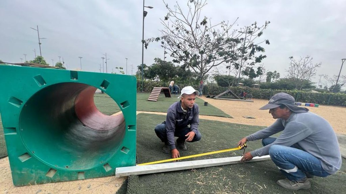 El parque fue declarado Área Nacional de Recreación Los Samanes, mediante Acuerdo Ministerial 048, desde 2010.