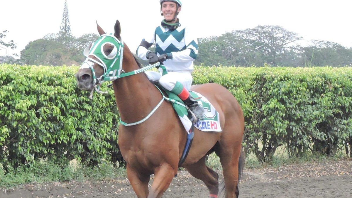 Toro Rosso, con la monta del jinete Sebastián Castellanos, tiene mucha opción.