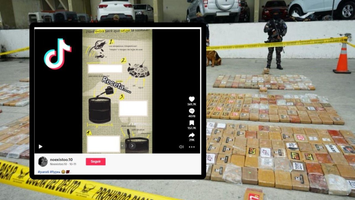 Esta publicación circula libremente por la red social TikTok. Un experto analiza la situación.