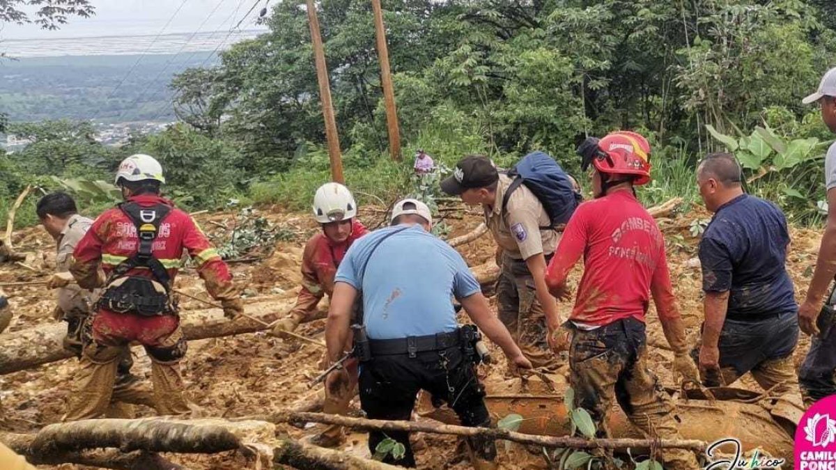 Este lunes 12 de febrero sacaron troncos de entre grandes cantidades de lodo en Camilo Ponce Enríquez.