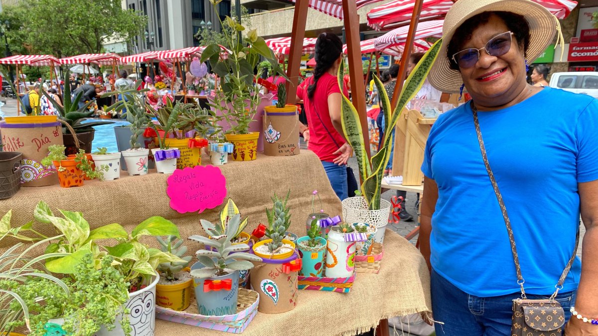 Ana Martínez junto al mini jardín que comercializó en la Plaza San Francisco.