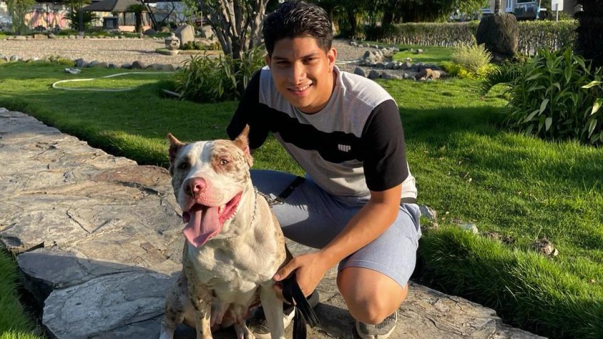 Pipa fue la primera perrita en ser educada con está innovadora técnica.