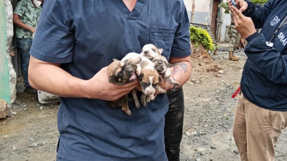 Evidencia del allanamiento realizado