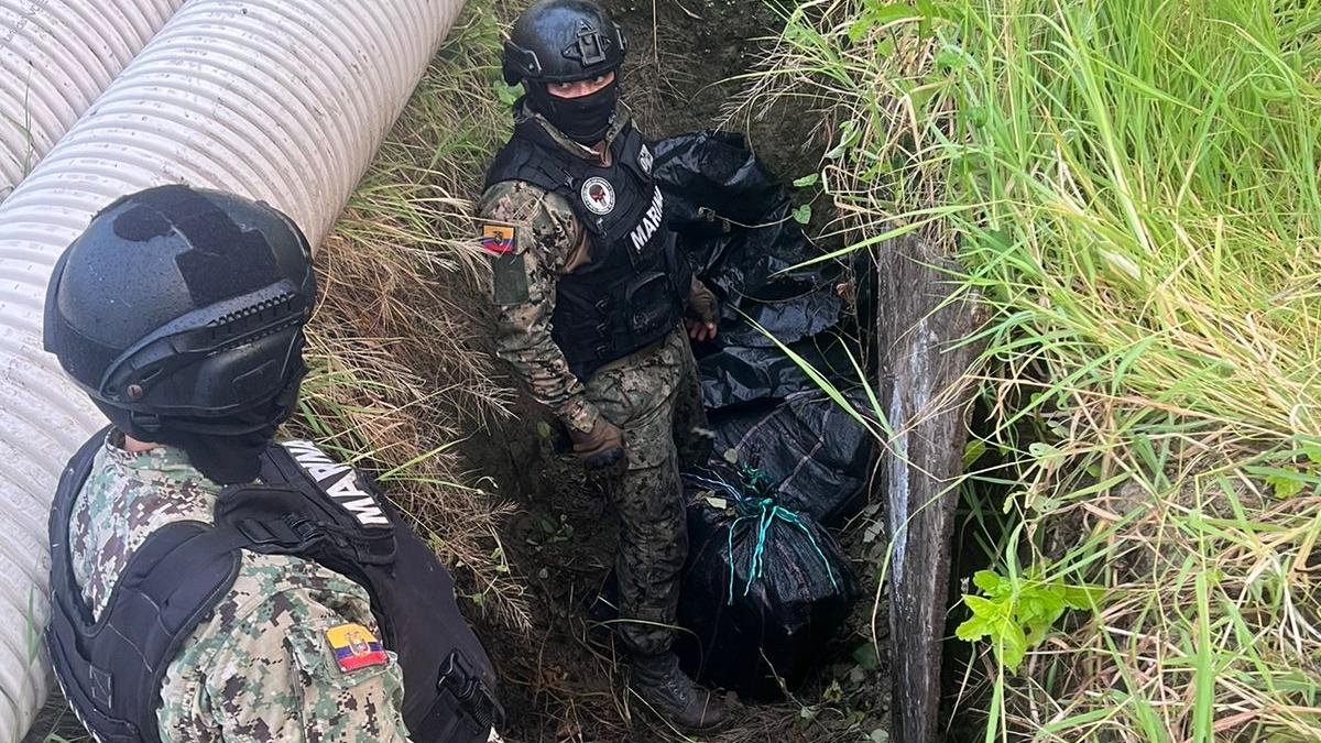 La sustancia estaba escondida en un hueco dentro de la tierra, tapado con plástico.