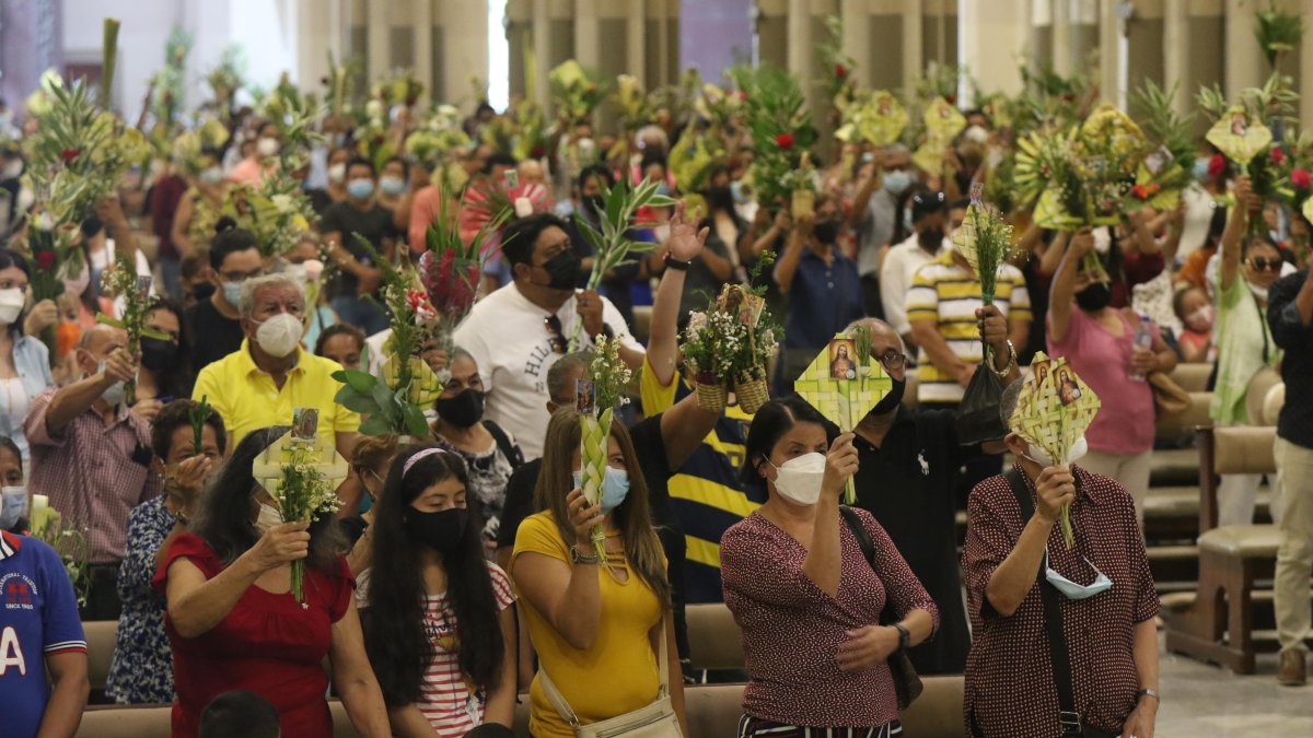 Previo a este domingo se hicieron campañas para que se elaboren ramos con elementos alternativos a la palma de cera.