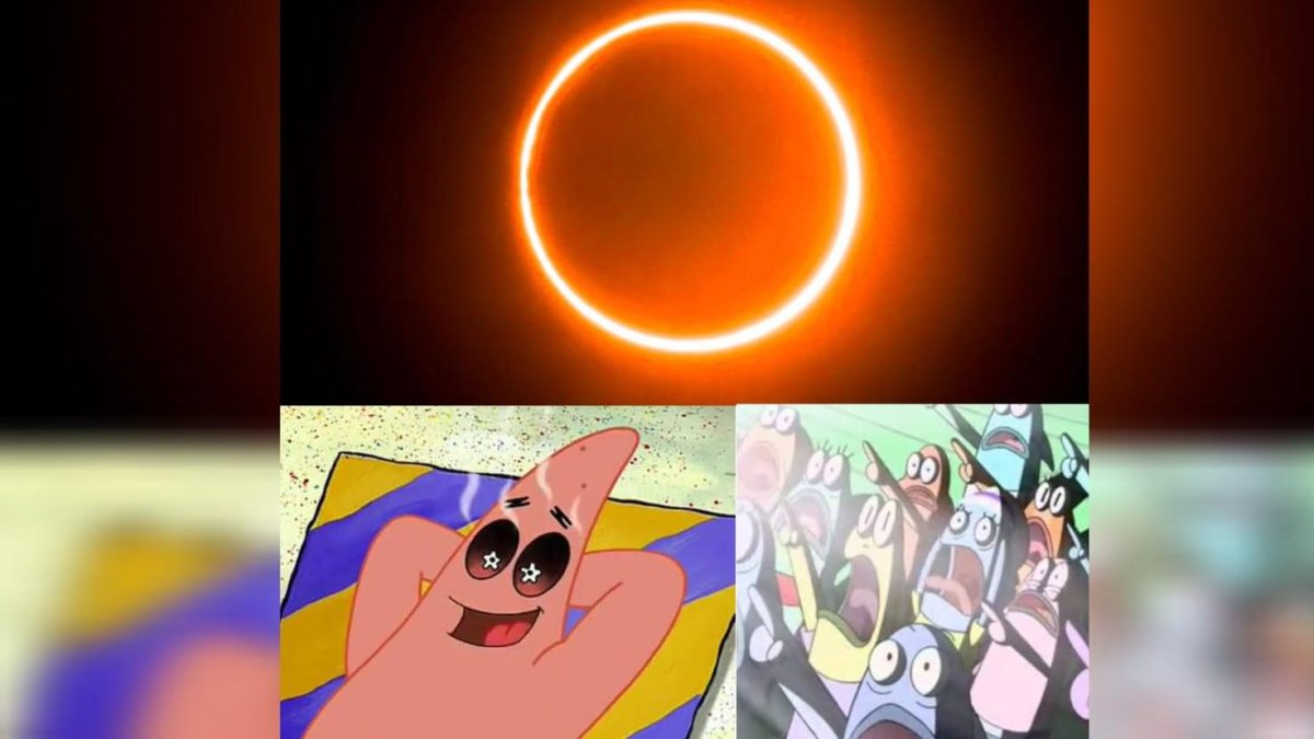 Extracto de los memes que los usuarios en la red social X han publicado