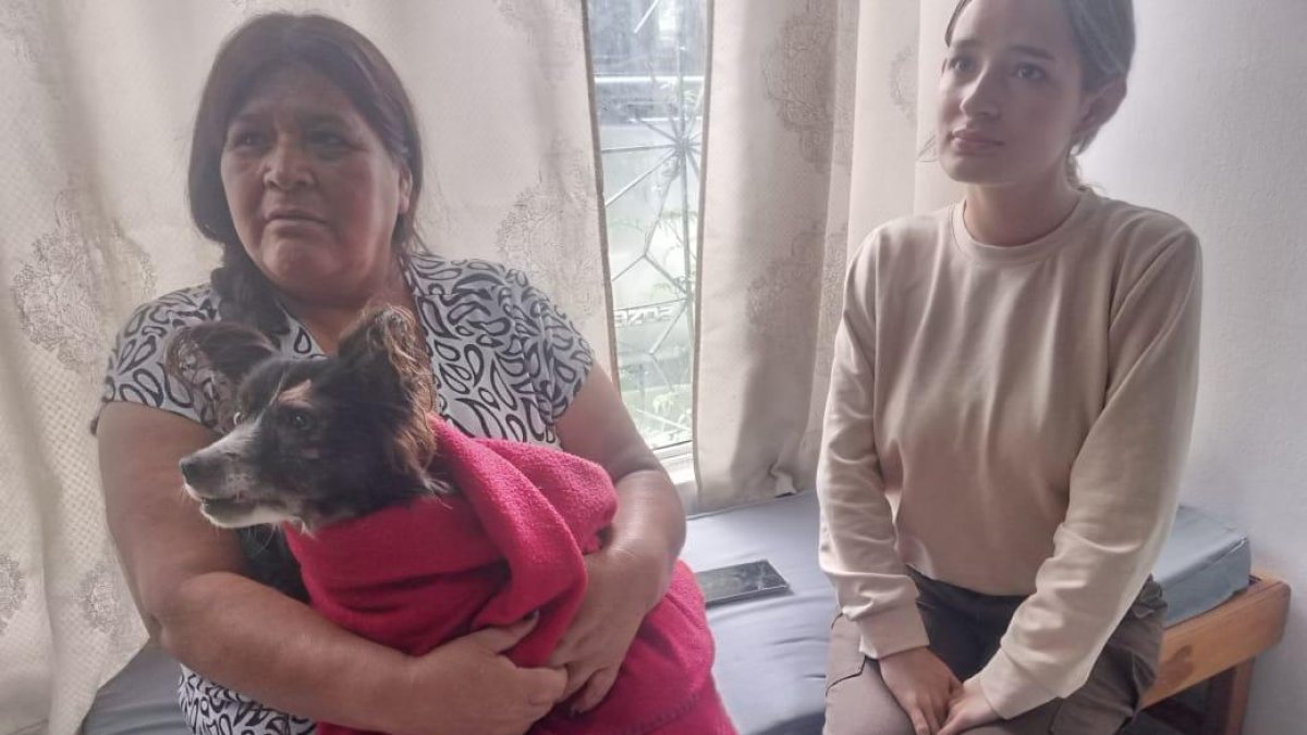 La perrita es adulta y al parecer tiene problemas auditivos. Esta se recupera en la casa con medicamentos.