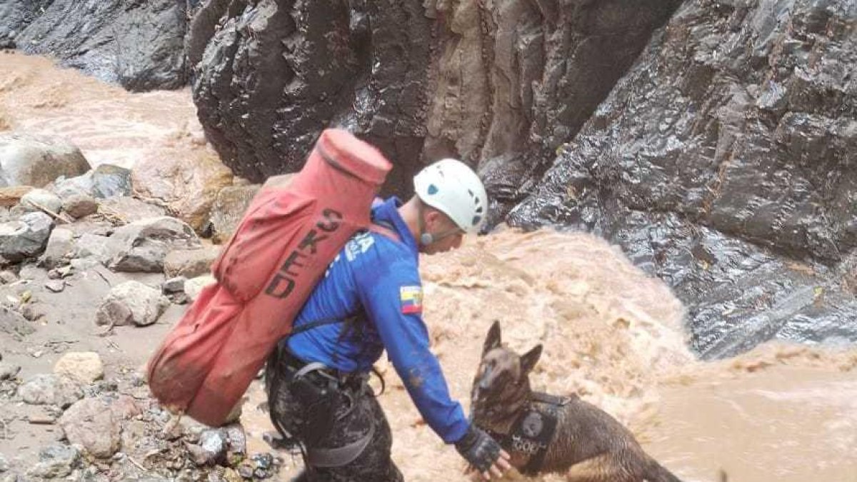 Miembros del Grupo de Operaciones Especiales, con canes amaestrados y bomberos de Pallatanga buscan a la joven.