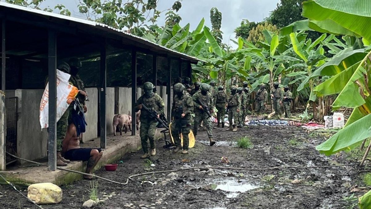 El 21 de enero de 2024, día en el que se descubrieron el cargamento de las 21 toneladas y media de cocaína, fue detenido el cuidador de la finca, en Vinces.
