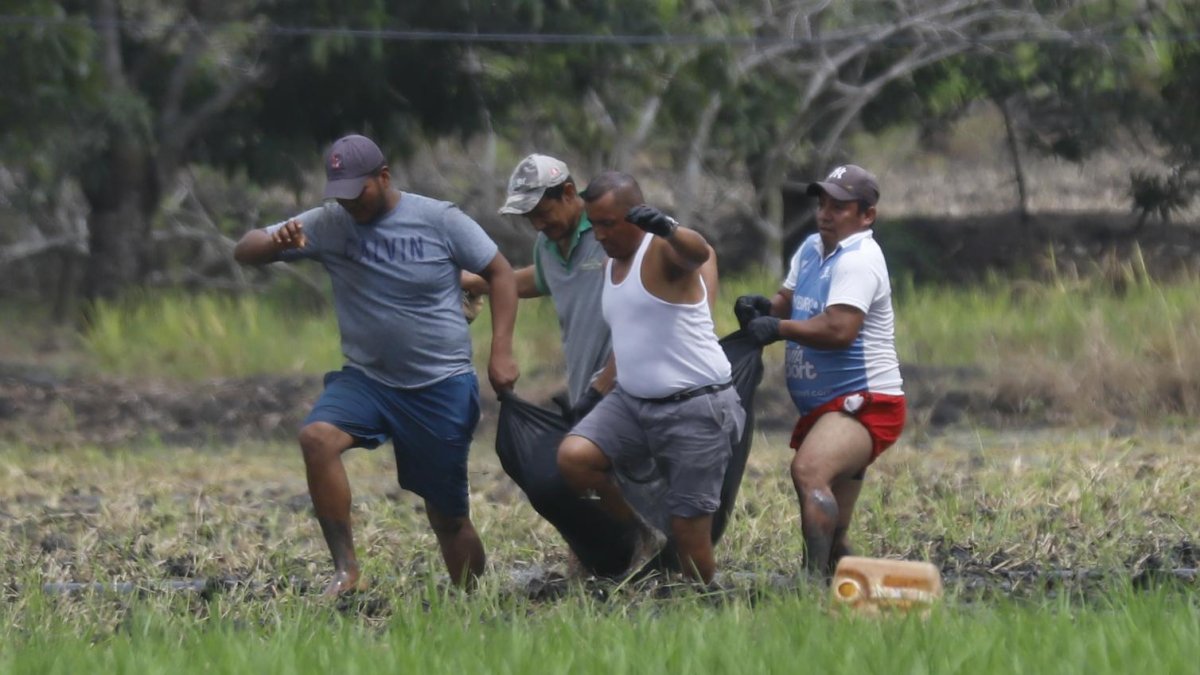 Este sábado 27 de abril encontraron otro cadáver. La noche anterior fueron hallados los cuerpos de seis víctimas.