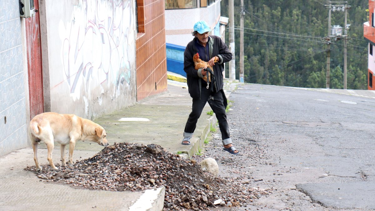 Los peatones se ven obligados a caminar por las calles y los perros se sienten atraídos por los escombros.
