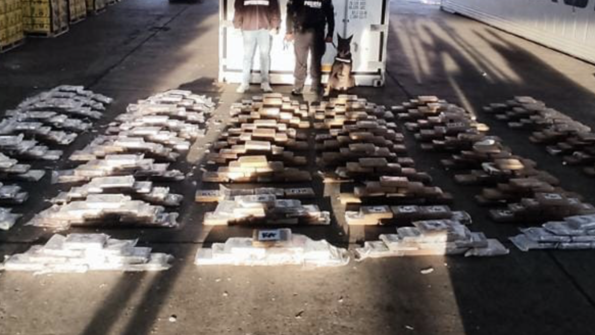 Los agentes hallaron más de una tonelada de droga.