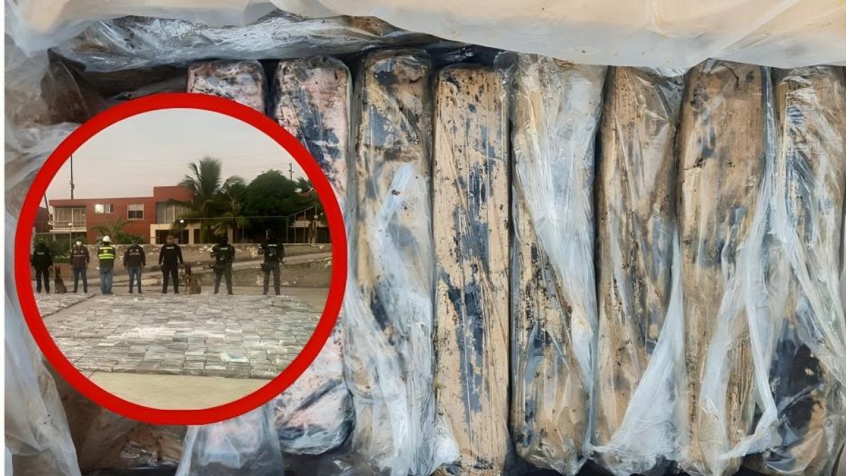 En total, se incautaron 2.497 paquetes tipo ladrillo que contenían 2’492.006 gramos de cocaína