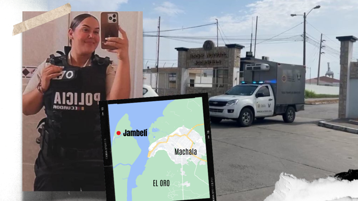 Por los indicios obtenidos por la policía, Alison fue asesinada con balazos en la cabeza y tórax y luego enterrada en la playa.