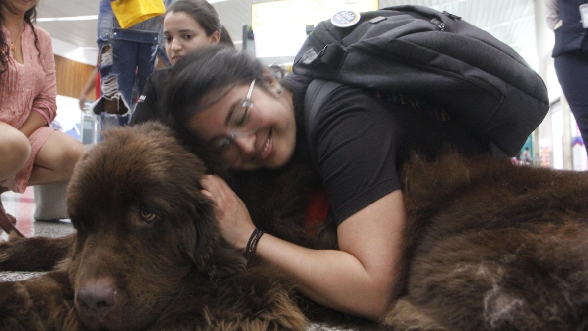 Una joven abraza a Chewbacca mostrándole su afecto.
