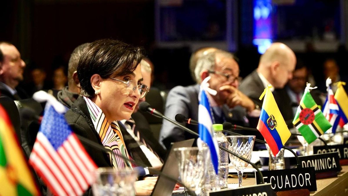 La canciller asistió a la 45ª Asamblea General de la OEA