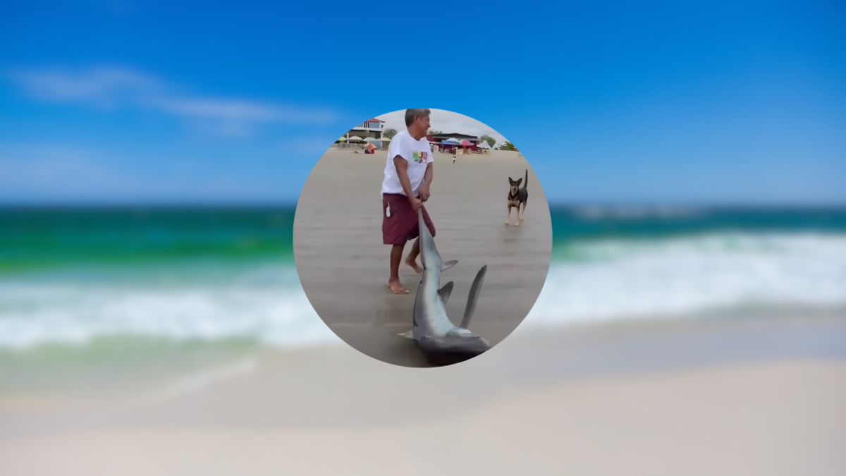 El acto quedó grabado en video. Pasó en Tonsupa.