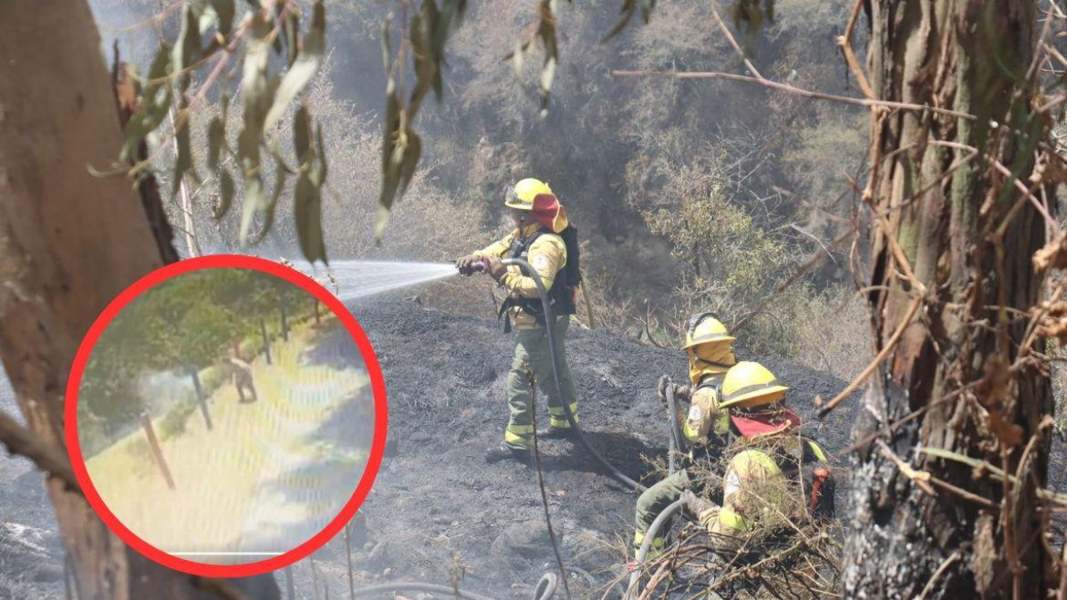 El Cuerpo de Bomberos ha utilizado el 98 % de su capacidad. Incendios han sido provoados