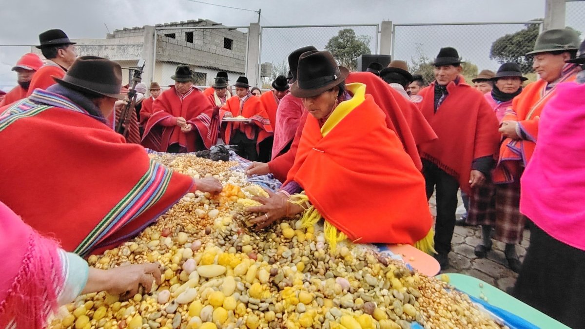 En la pampamesa todos aportan con alimentos. Se colocan papas, mellocos, habas y tostado.