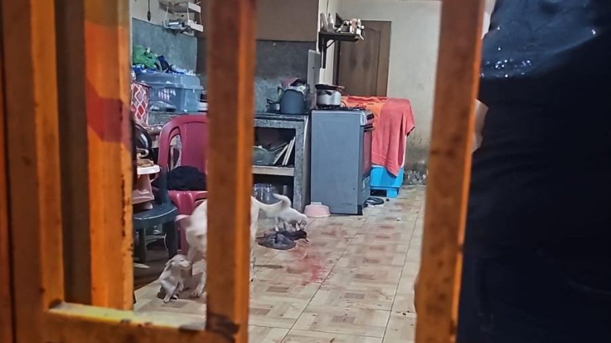 En el lugar se recogieron cinco vainas percutidas de calibre 9 milímetros.