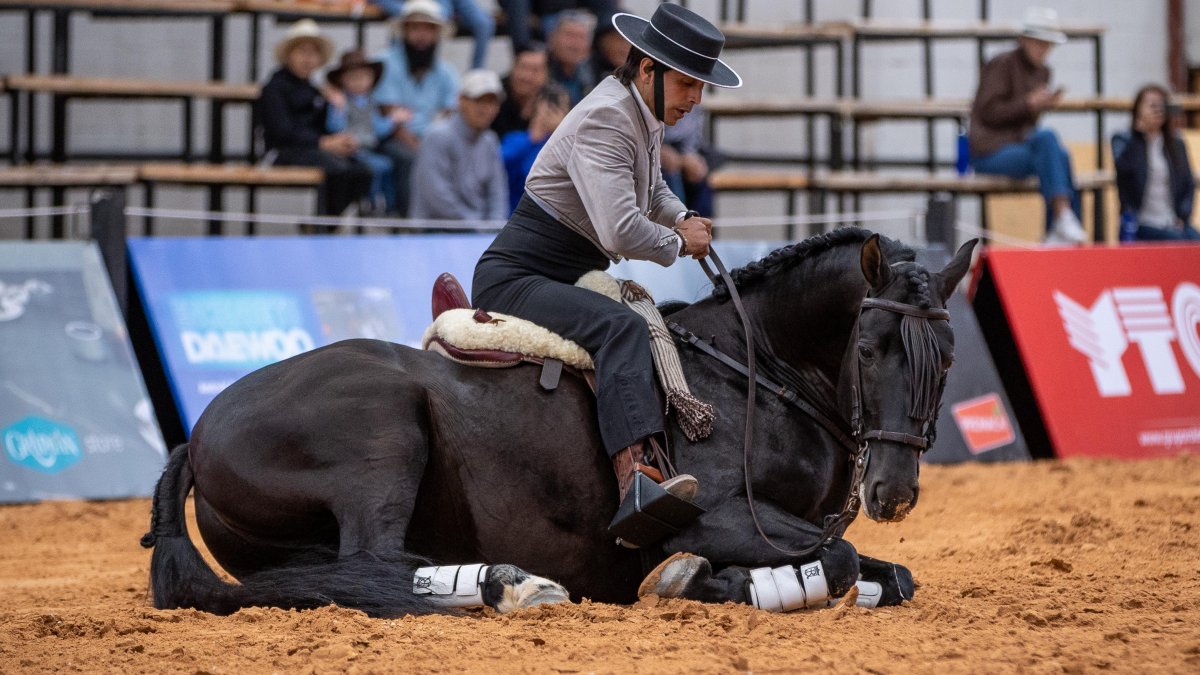 Espectáculo ecuestre que fusiona las tradiciones de España y Ecuador.