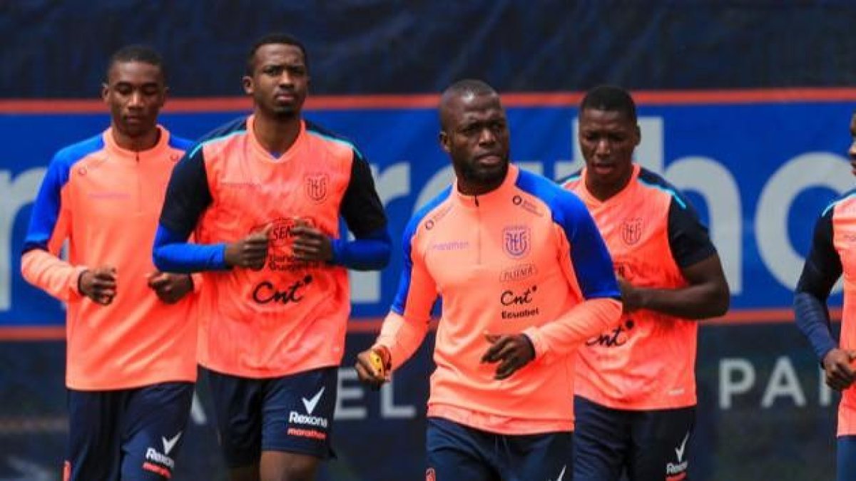 Ecuador se prepara para su último partido de 2025, será ante Nueva Zelanda.