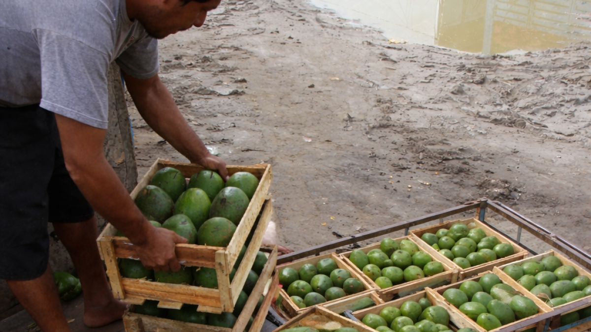 El sospechoso es de nacionalidad venezolana.