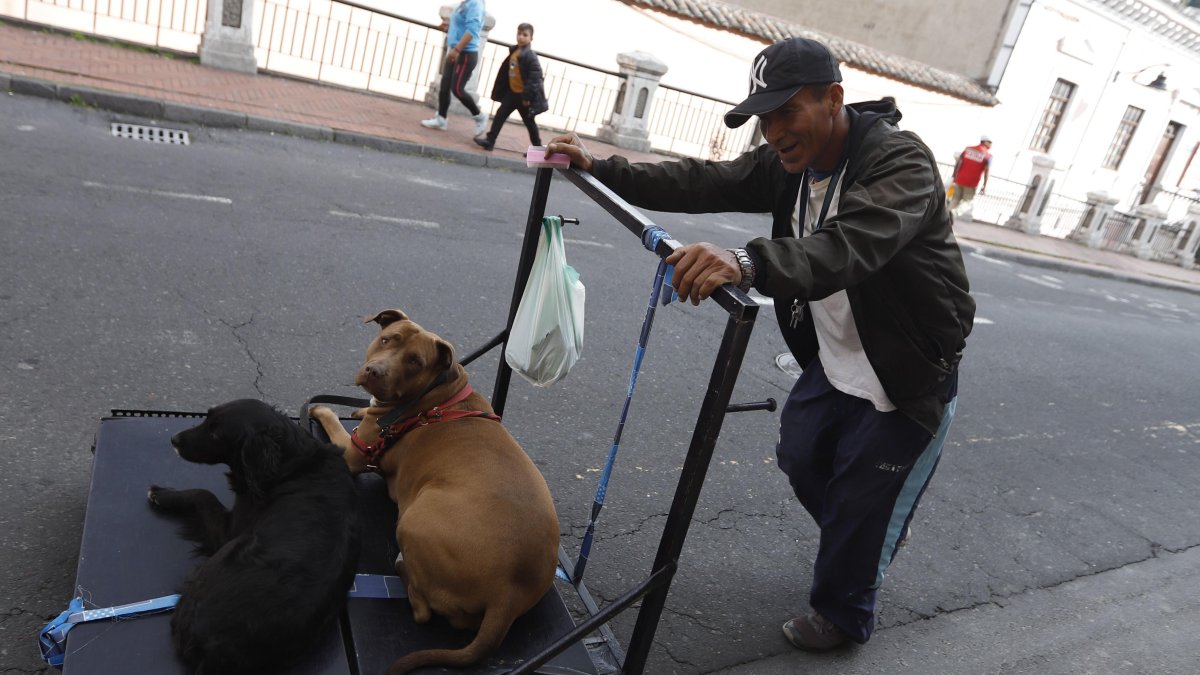 Carlos recorre todos los días las calles del Centro Histórico de Quito junto a sus dos canes.