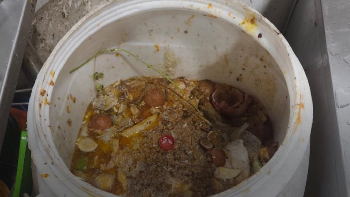 Arcsa Warns Businesses: Surprise Inspections for Food Hygiene Compliance