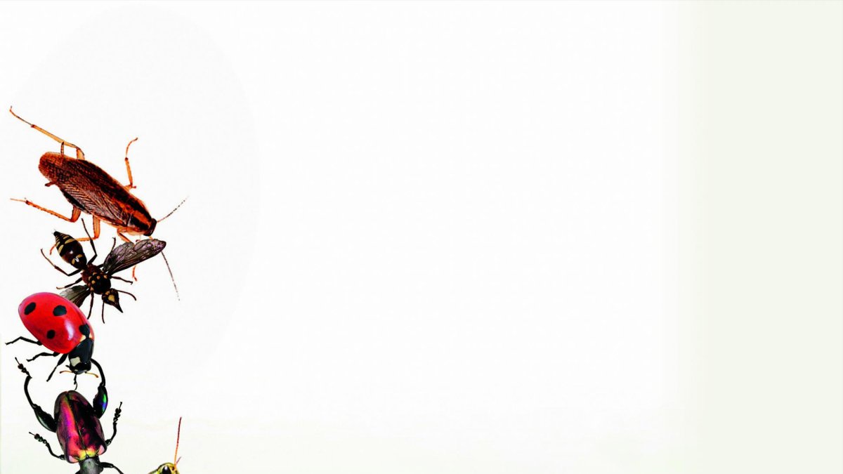 El hombre y su familia piden ayuda, pues en tiempo de invierno su humilde casa se inunda.