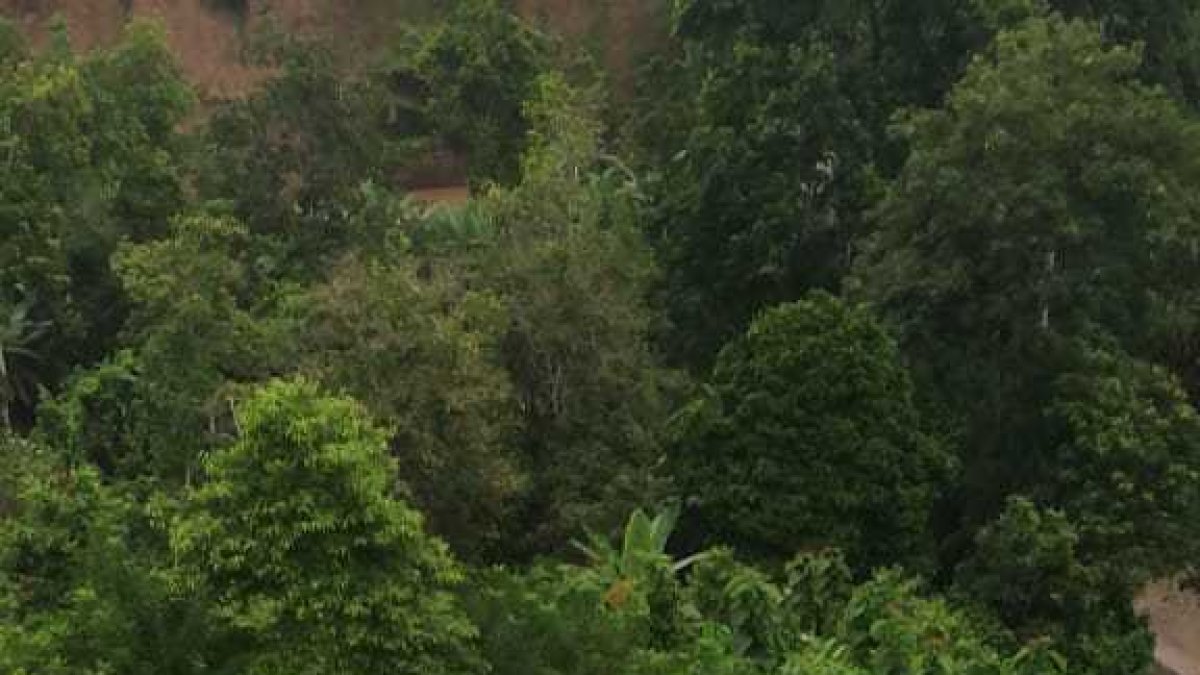 Dentro del automotor se encontraban tres personas atrapadas.