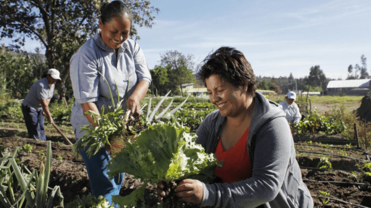 Los Presupuestos Participativos son un mecanismo de Participación Ciudadana contemplado en la Ordenanza Metropolitana  102.