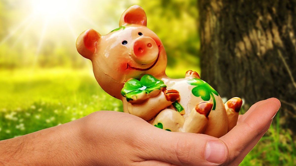 Este animalito simboliza el éxito y la fortuna