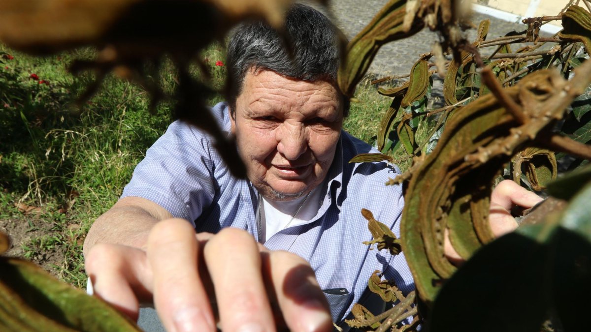 César Cabrera da un paseo en un parque central que hay dentro de la villa Hansen.