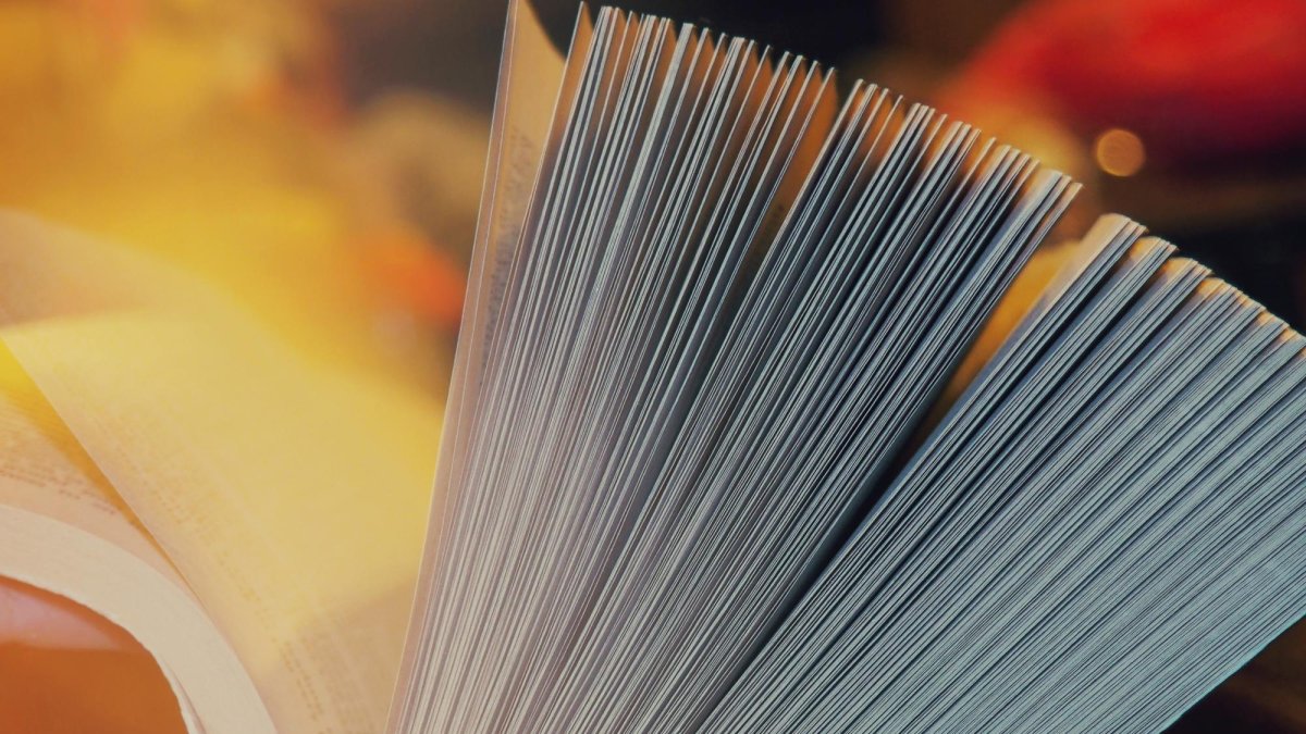 Imagen referencial. La composición microscópica del papel y el lugar de la incisión serían las piezas clave para comprender el porqué de este agudo malestar.