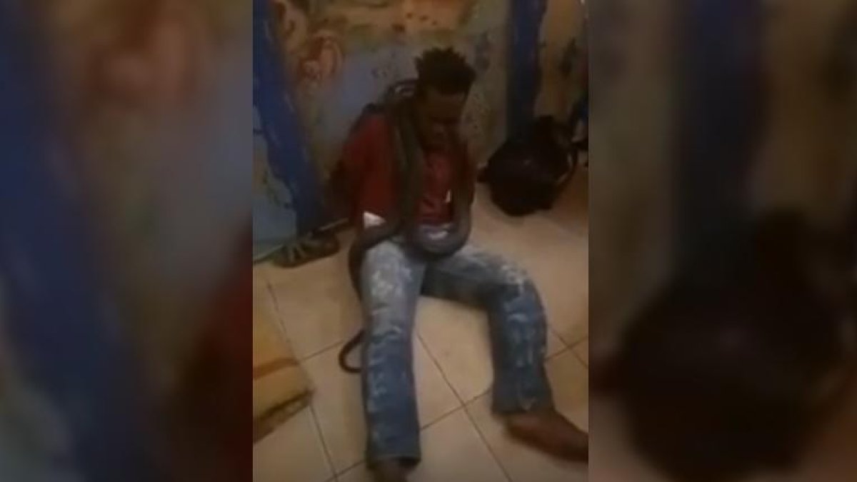 Un policía parece querer colocar la serpiente en la boca del sospechoso mientras que sus colegas se ríen, según las imágenes de un video.