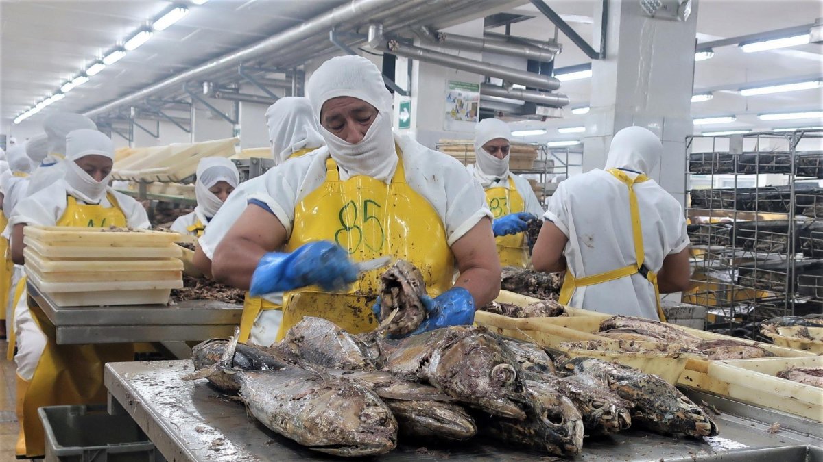 La poca información nutricional de los desechos del pescado arroja que estas partes pueden llegar a contener niveles muy elevados de micronutrientes esenciales.
