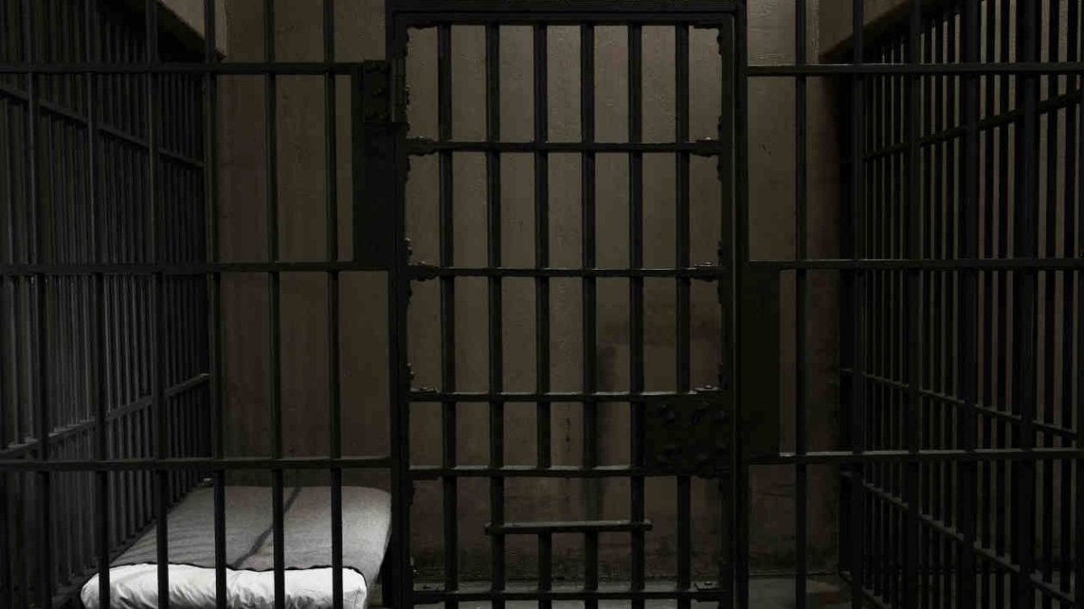 La intensificación de las organizaciones criminales de otros países dentro del nuestro es una de las razones.