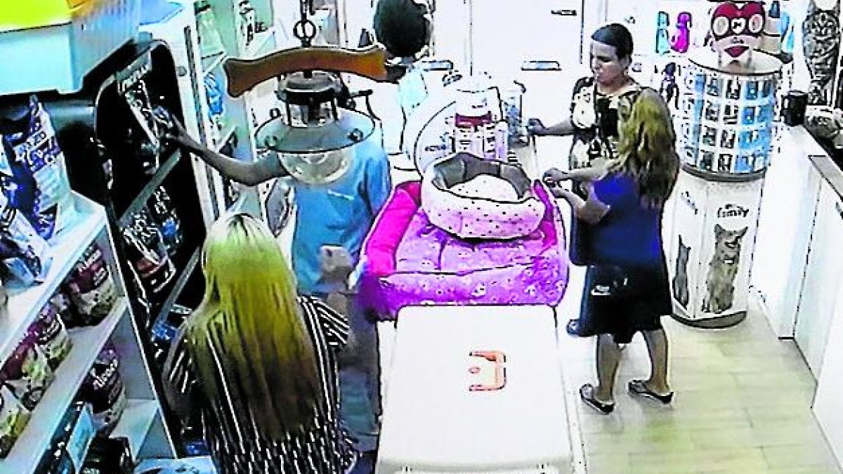 El robo quedó registrado en video. Una de las personas que ingresó distrajo al veterinario que atendía el local.