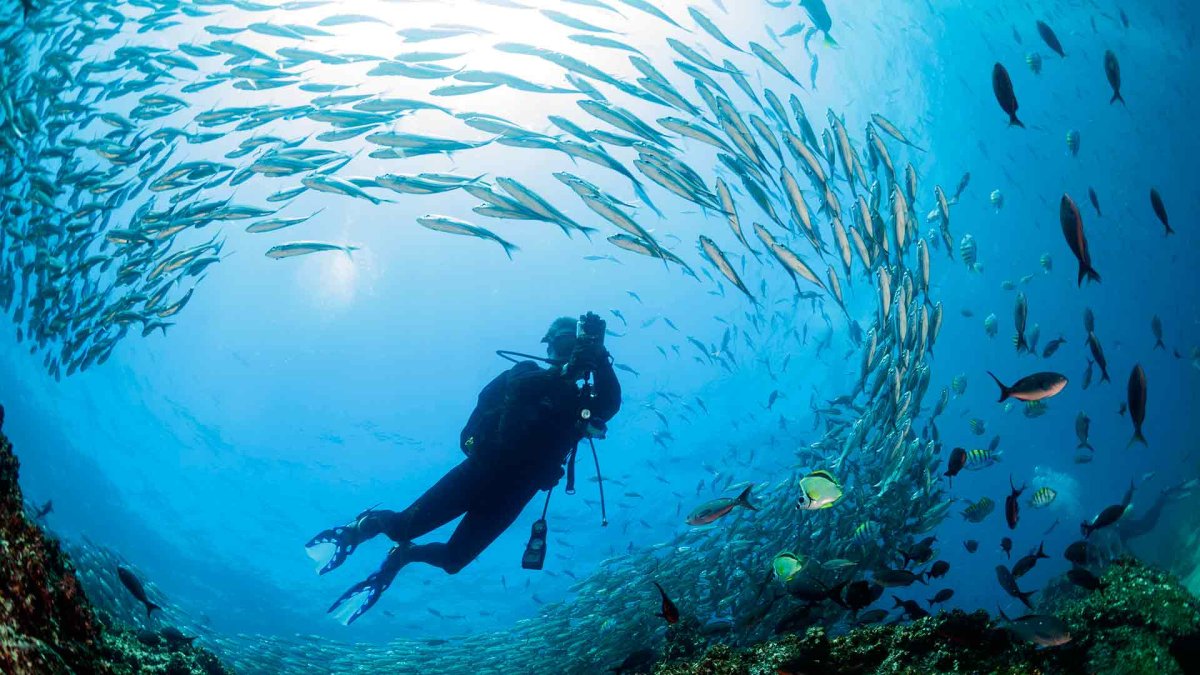 El objetivo de la lista fue mostrar la diversidad de entornos marinos, los cuales cubren más del 70 por ciento de la superficie del planeta.